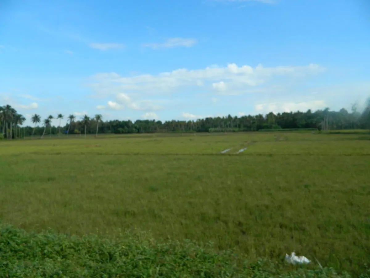 Zamaraya Bed & Breakfast Angamali